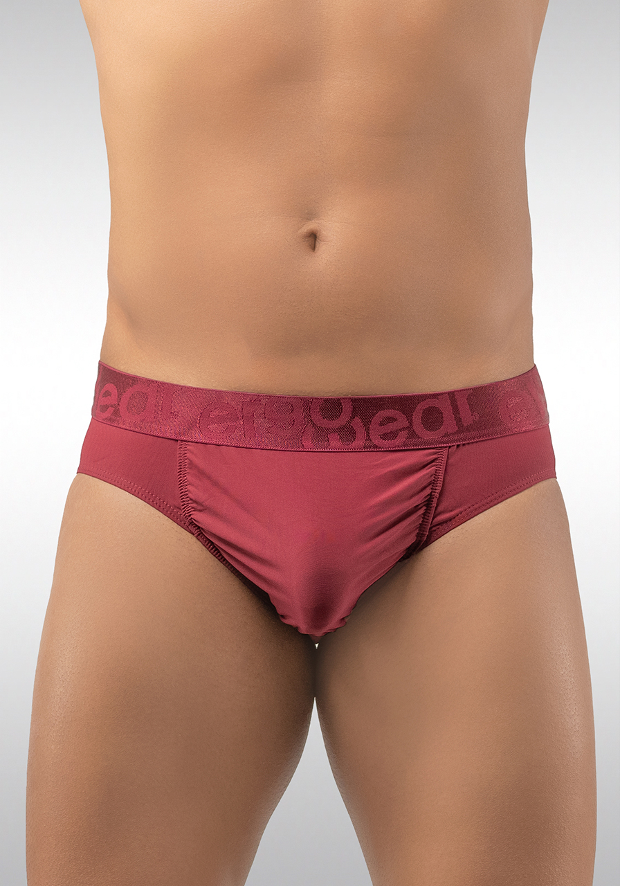 Feel-XV-Brief-Burgundy-Front.jpg