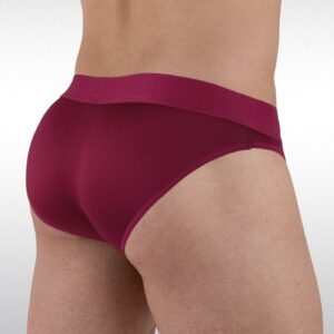 HIP Bikini - Red Plum - Image 3