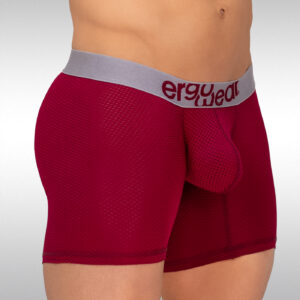 MAX Mesh Midcut - Burgundy - Image 2