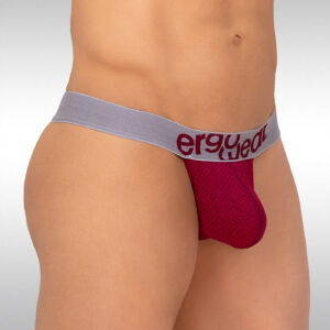 MAX Mesh Thong - Burgundy - Image 1