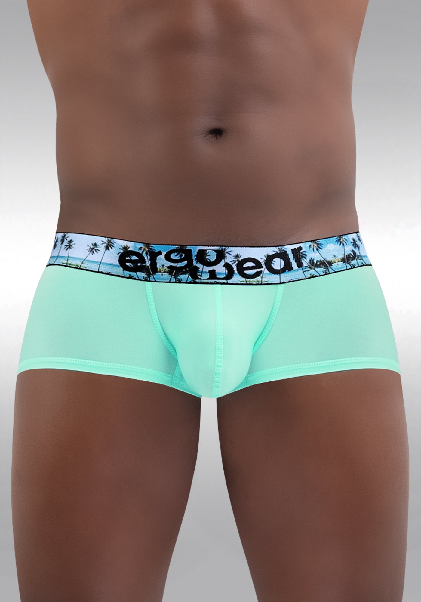 MAX-SE-2023-Boxer-Aqua-Palms-Front.jpg