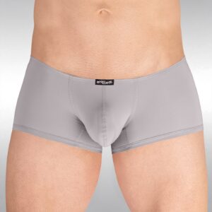 X4D Mini Boxer - Silver Grey - Image 1