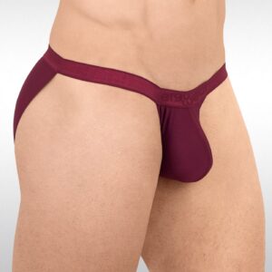 SLK Bikini - Burgundy - Image 2