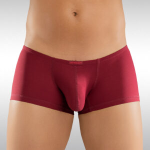 X4D Mini Boxer - Burgundy - Image 1