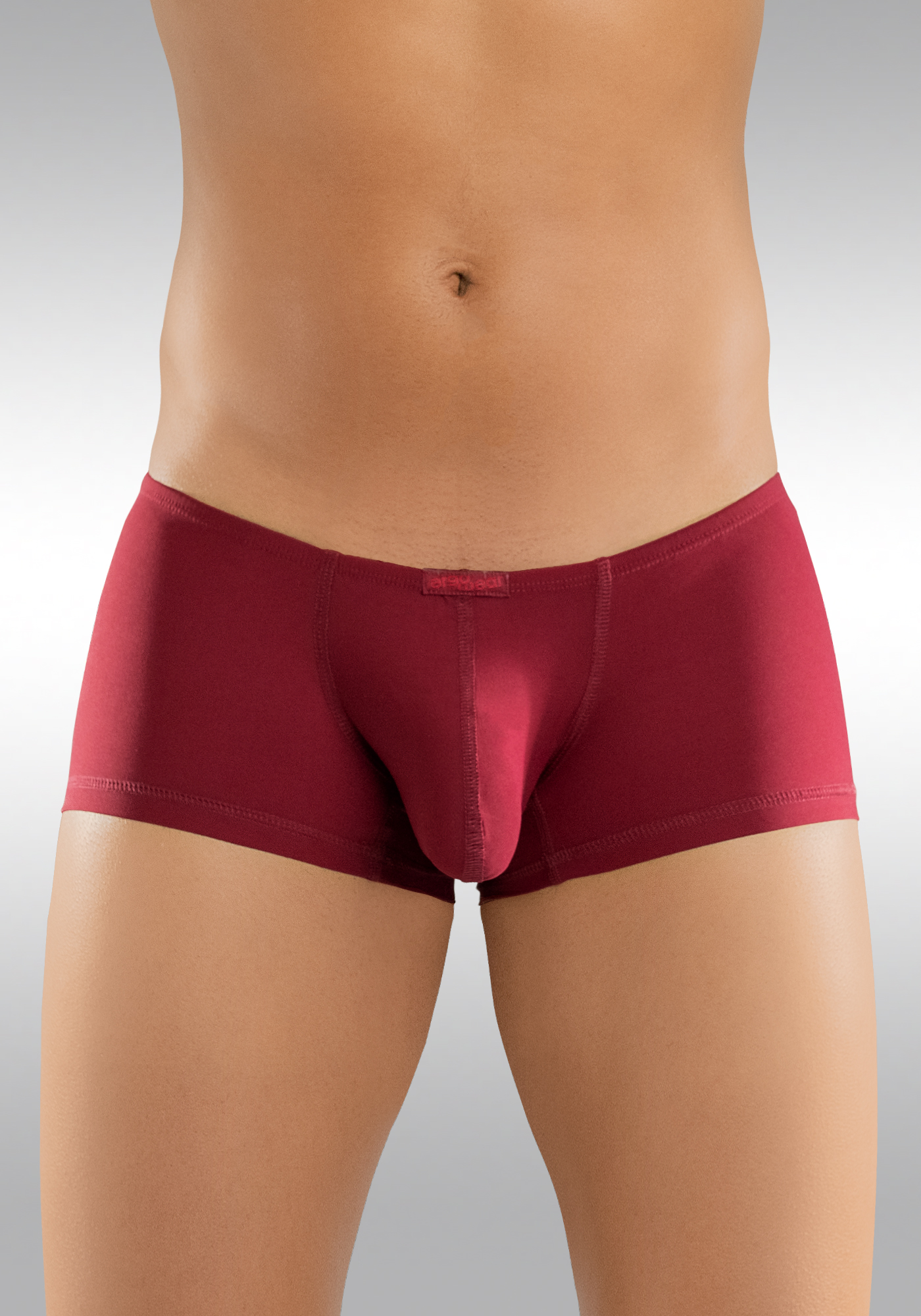 X4D-Mini-Boxer-Front-Burgundy.jpg