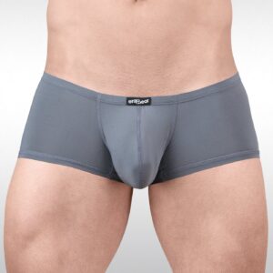 X4D Mini Boxer in Gray - Image 1