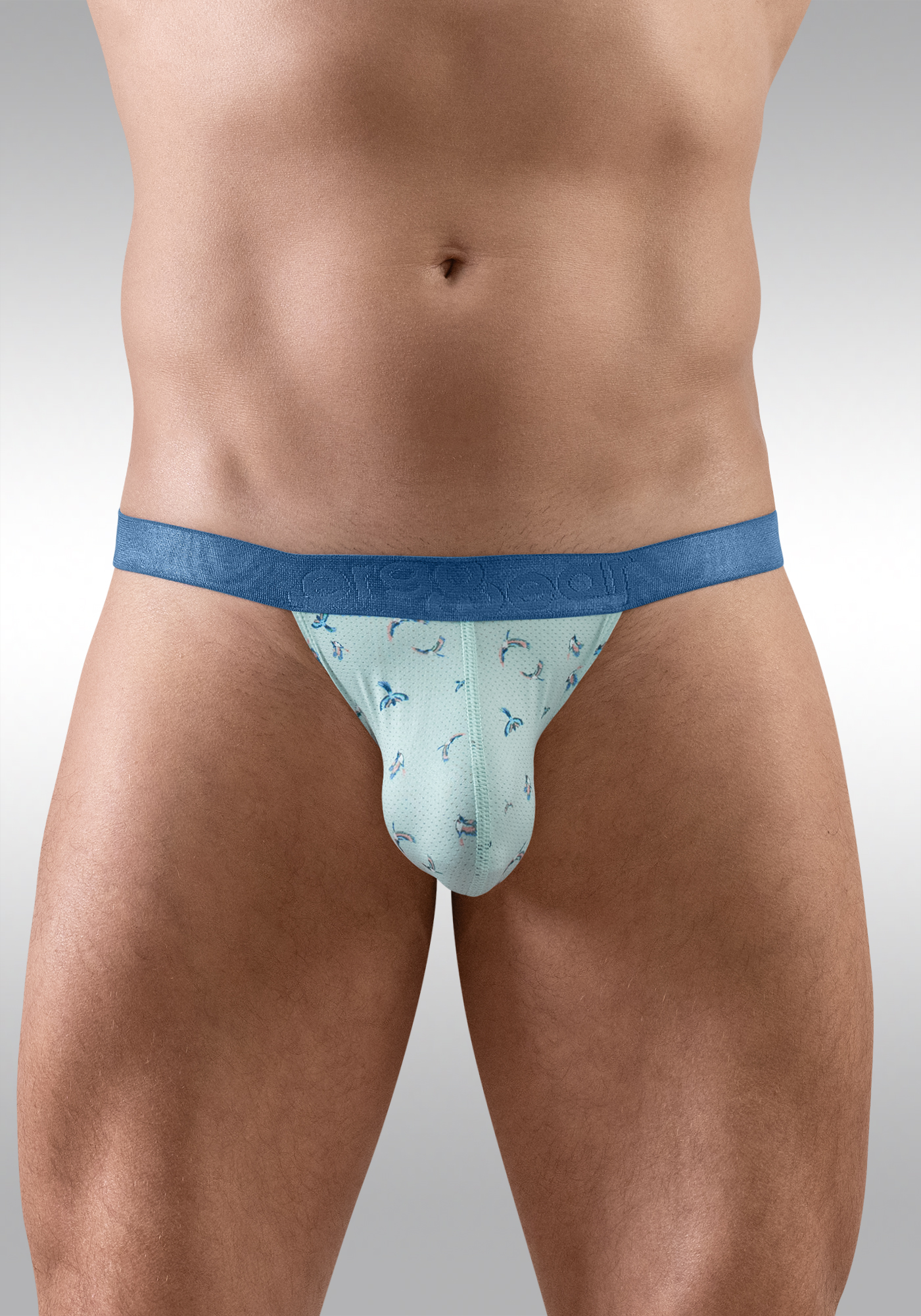 SLK SE Bikini Frost Front